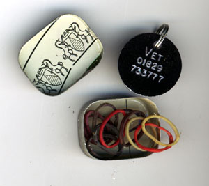 Little Tacky Tin of Bands + a Dog Tag